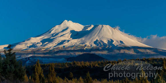 #750C - MT SHASTA - PAINTERLY (1:2)