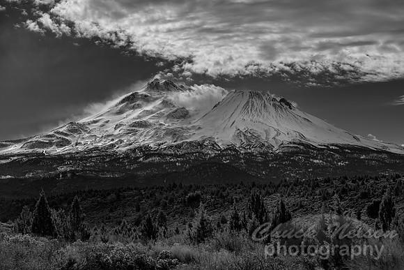 #751B - MT SHASTA - WINDBLOWN BLACK AND WHITE (1:1.5)