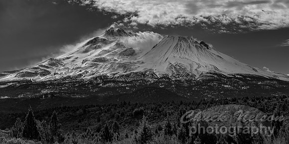 #751C - MT SHASTA - WINDBLOWN BLACK AND WHITE (1:2)