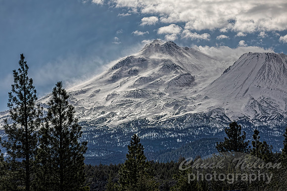 #752A - MT SHASTA - WINDBLOWN (1:1.5)