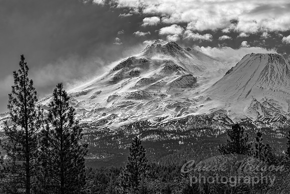 #752B - MT SHASTA - WINDBLOWN BLACK AND WHITE (1:1.5)