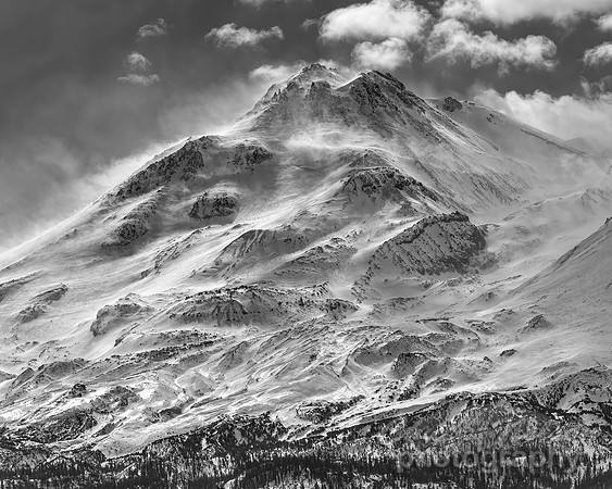 #752C - WINDBLOWN MT SHASTA - DETAIL BLACK AND WHITE (1:1.25)