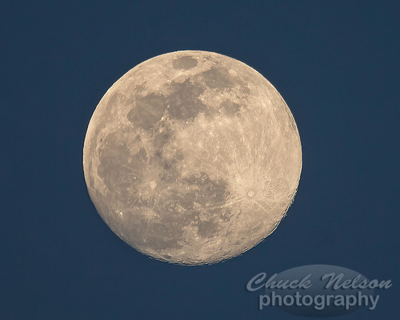 #753 - SUPER MOON (1:1.25)