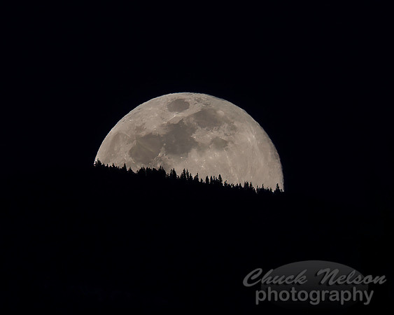 #754 - SUPER MOON RISING (1:1.25)