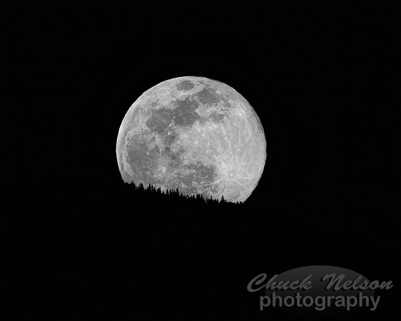#755 - SUPER MOON RISING BW (1:1.25)