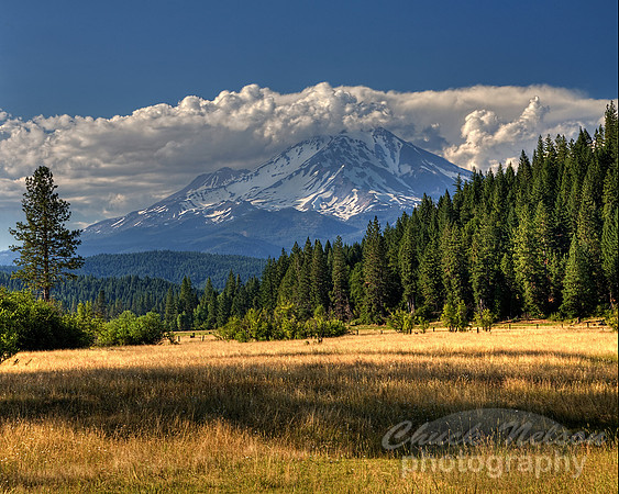 #447 - MOUNT SHASTA NEAR McCLOUD #14 HDR TD (1:1.25)