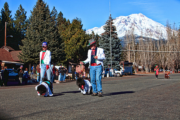 img_2221_11-28-09 TA 8X12.jpg