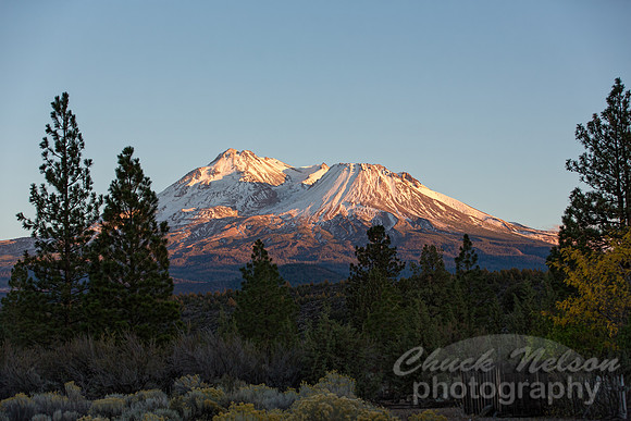 #548 - MOUNT SHASTA (1:1.5)