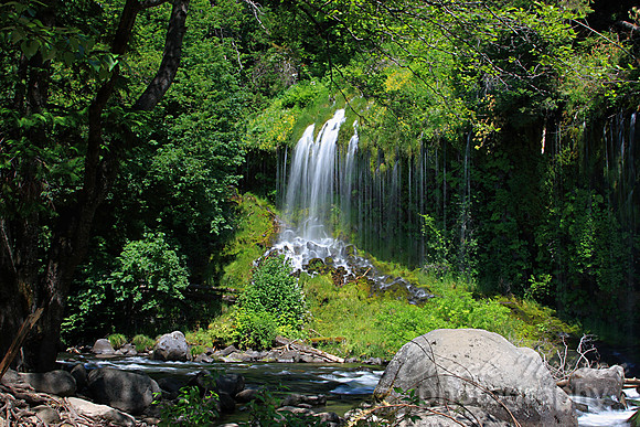 #128 - MOSSBRAE FALLS #4 (1:1.5)