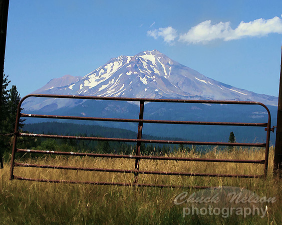 #279B - MOUNT SHASTA NEAR McCLOUD #8 TS (1:1.25)