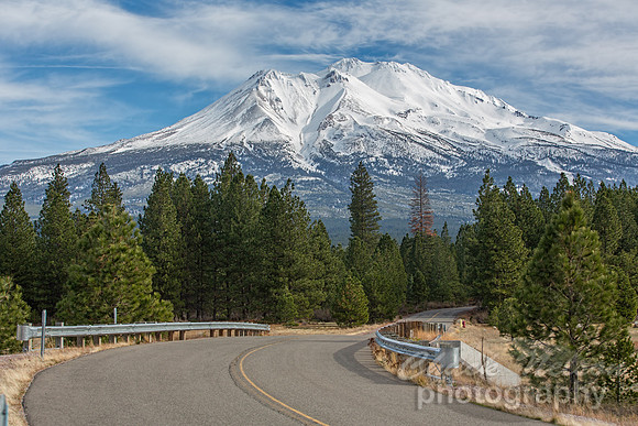 #596 - ROAD TO SHASTA TD (1:1.5)