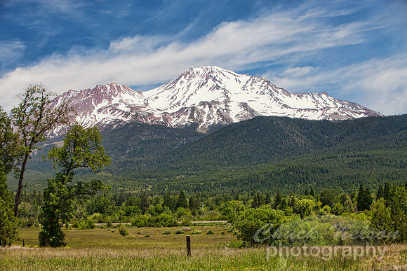 #484A - MOUNT SHASTA (1:1.5)