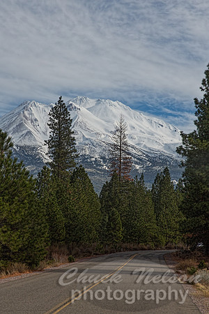 #605 - ROAD TO SHASTA TD (1:1.5)