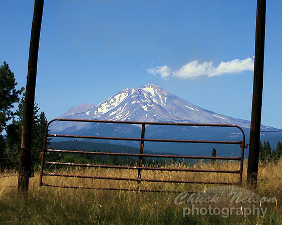 #279A - MOUNT SHASTA NEAR McCLOUD #8 TS (1:1.25)