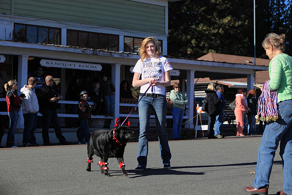 img_2268_11-28-09