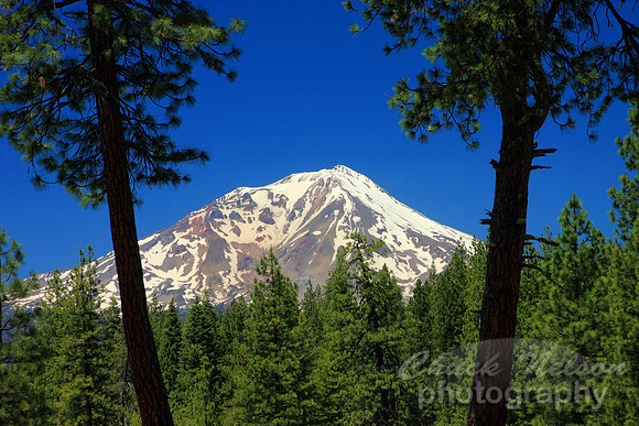 #229B - MT SHASTA NEAR McCLOUD #2 (1:1.5)