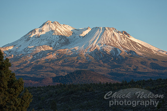 #546 - MOUNT SHASTA (1:1.5)