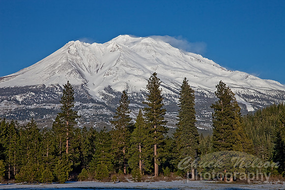 #341 - MT SHASTA #2 (1:1.5)
