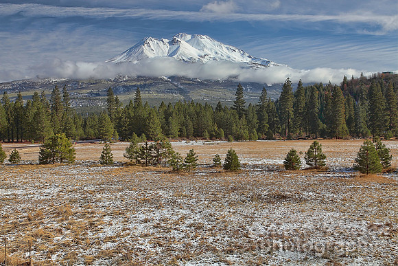 #310A - MT SHASTA ACROSS A FILE OF SNOW (1:1.5).jpg