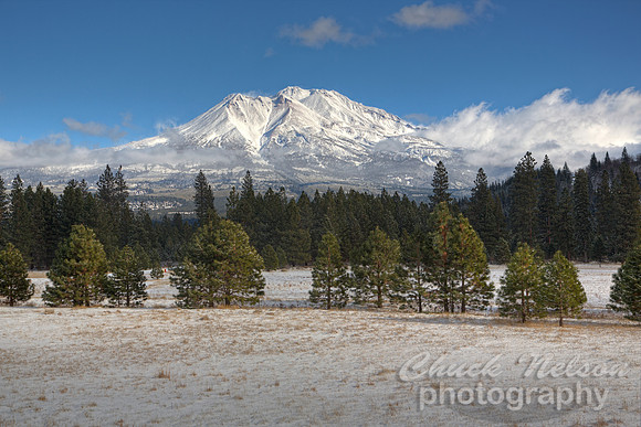 #521 - MT SHASTA WITH FRESH SNOW HDR TD (1:1.5)
