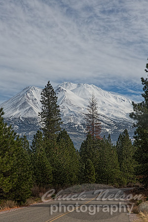 #606 - ROAD TO SHASTA TD (1:1.5)