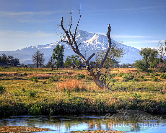 #237B - MT SHASTA FROM BIG SPRINGS HDR TA (1:1.25)