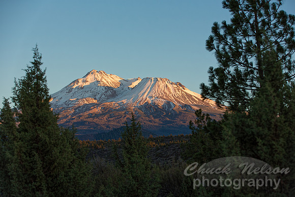 #547 - MOUNT SHASTA (1:1.5)
