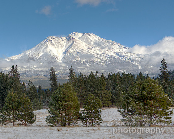 #520 - MT SHASTA WITH FRESH SNOW HDR TD (1:1.25)