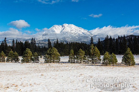 #522A - MT SHASTA WITH FRESH SNOW TD (1:1.5)