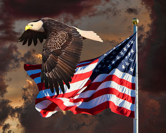 #479 - EAGLE FLAG & CLOUDS (1:1.25)