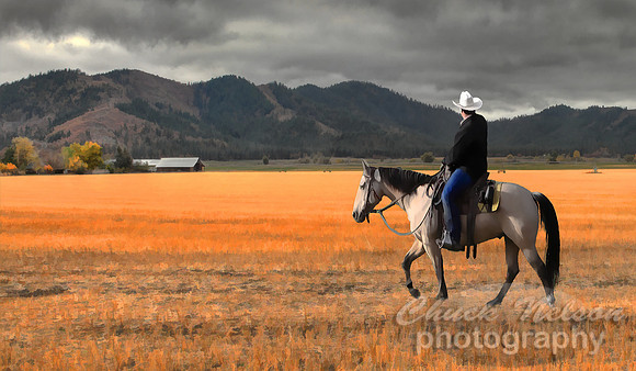 #308I - RIDER BENEATH A SISKIYOU SKY HDR TS gallery wrap (1:2).jpg