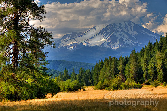 #449 - MOUNT SHASTA NEAR McCLOUD #15 HDR TD-S (1:1.5)