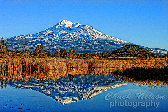 #206 - MOUNT SHASTA REFLECTED #21-T (1:1.5)