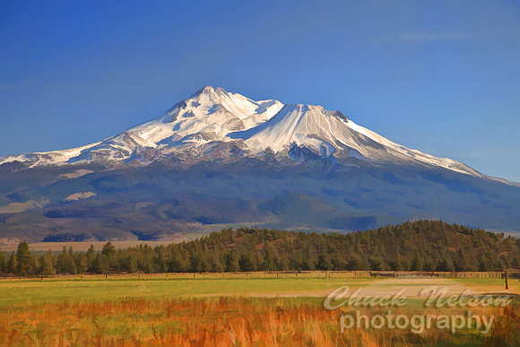 307 - MOUNT SHASTA IN FALL TS (1:1.5).jpg