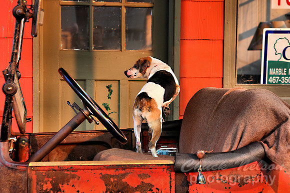 148A - 1915 DODGE AND DOG (1:1.5)