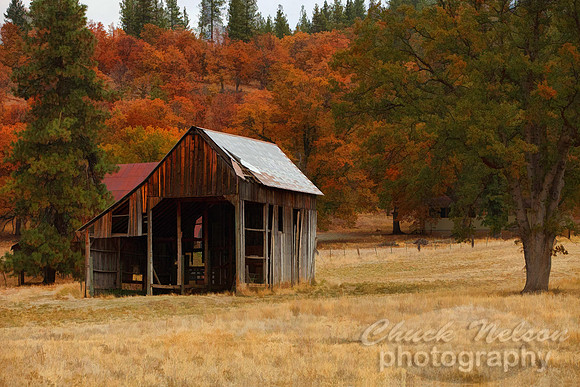 #440 - AUTUMN BARN  TA-S (1:1.5)