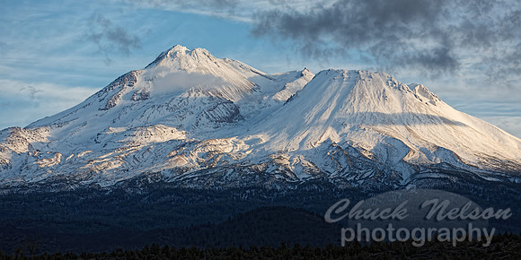 #558B - MOUNT SHASTA TD (1:2)