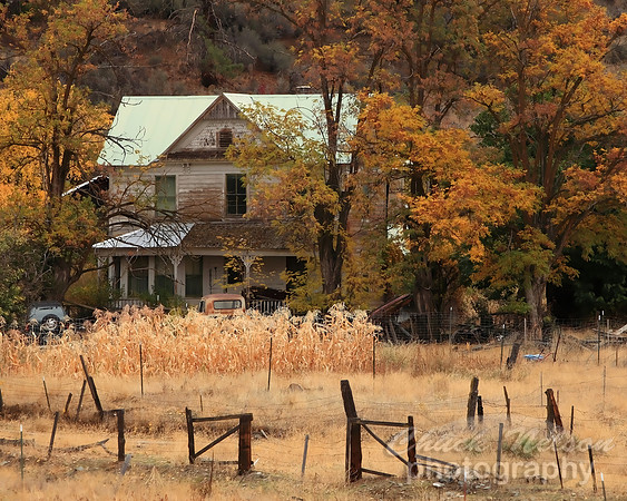 305 - RANCH HOUSE TC (1:1.25).jpg