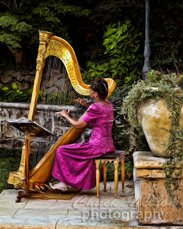 #299 - HARPIST #8 C0 (1:1.25).jpg