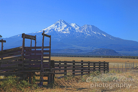 #270 - CORRAL AND MT SHASTA#1 TA (1:1.5)