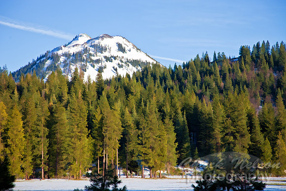 #339 - BLACK BUTTE TS (1:1.5)