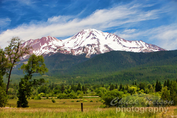 #484B - MOUNT SHASTA  TS (1:1.5)