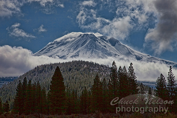 #431 - MT SHASTA AFTER AN APRIL SNOW TA-D (1:1.5)
