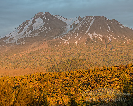 #529 - MT SHASTA SUNSET TD (1:1.25)