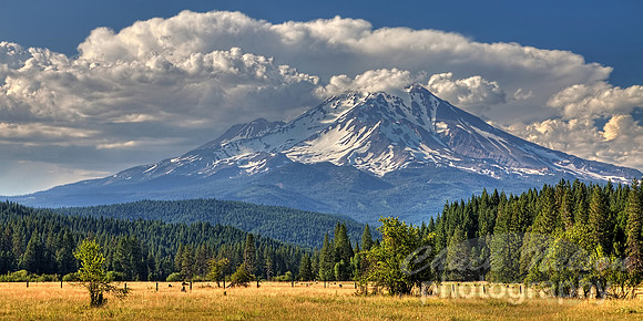 #445 - MOUNT SHASTA NEAR McCLOUD #12 HDR TD (1:2)