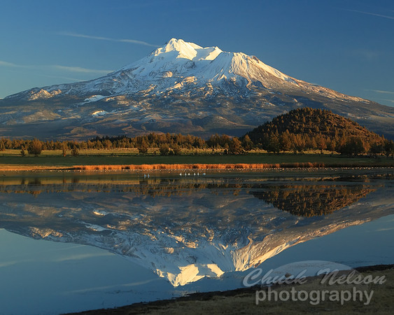 #79a - mt shasta reflected #5 (1:1.25)
