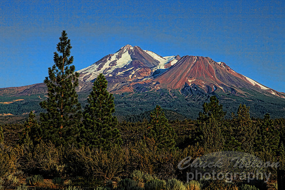 #428 - MOUT SHASTA ON A SUMMER DAY TA (1:1.5)