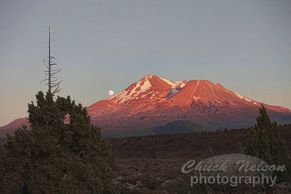 #288 - MOON OVER THE MOUNTAIN #5 TA TS (1:1.5)