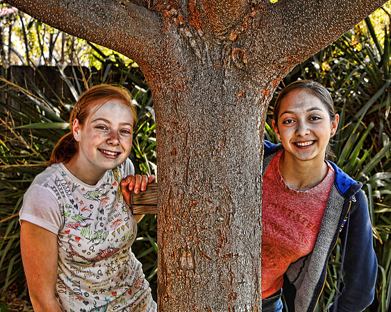 Friends #1
