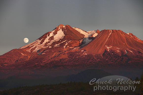 290 - MOON OVER THE MOUNTAIN #7 TA TC (1:1.5)